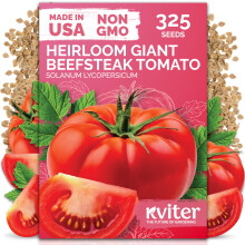 KVITER 325 Rode Reus Rundtomaat (Solanum lycopersicum) Zaden - Grote Vlezige Vruchten voor Tuinen en Potten