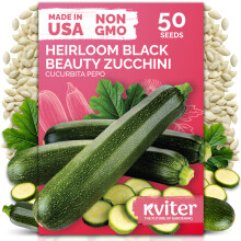 KVITER 50 Black Beauty Courgette Zomer Pompoen Zaden - Hoogopbrengende Erfgoed voor Tuinen