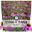 Échinacée - 7000 Graines à Planter - Saison 2026 - Sachet de 1 Ounce 1