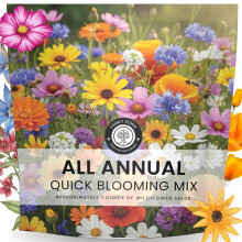 All Jaarlijkse Snelle Bloem Mix - 16.000 Zaden voor Planten - Wildbloemen Mix - Grote 1 Ounce Verpakking