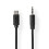 USB-C Adapter | USB 2.0 | USB-C Han | 3.5 mm Hanstik | 1.00 m | Runde | Nikkelplateret | Sort | Label 2