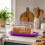 Bread & Cake Box Bin 36cm Acrylic Lid Plastic Base Clear Purple Storage Keeper 4