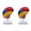 2X Cerebral Anatomical Model Anatomy 1:1 Half Brain Brainstem Teaching Lab Supplies 1