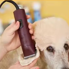 No.50 Detachable Pet Grooming Steel Blade for , A5 & 76 , Animal Clippers Cut Length 1/125-Inch 0.2mm