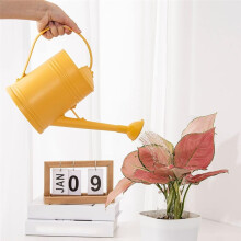 Watering Can Plants Small Watering Cans for House Plant Garden Flower Long Spout Water Can for Outdoor Watering Plant