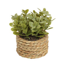 Small Fake Potted Plants,Seagrass Handwoven Planters,Eucalyptus Plant for Home Bathroom Shelf Tabletop Desk Room Decor C