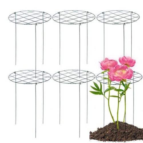 Confezione da 6 Gabbie e Supporti per Peonie, Anelli di Supporto per Piante da Esterno. 2