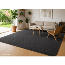 (200 x 290 cm (6ft 6in x 9ft 5in)- Extra Large Rugs Bedroom Living Room Indoor Outdoor Rug, Grey) Modern Living Room Rugs Fluffy Shaggy Bedroom Carpet Runner Indoor Outdoor Rug Floor Mats