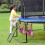 2pcs Trampoline Shoes Bag, Large Mesh Storage Organizer with Adjustable Straps Trampoline Accessories 3