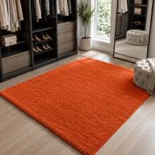 (120cm x 170cm (4ft x 5ft 6"), Rust/Orange Shaggy Rugs) Fluffy Rug Non-Slip Shaggy Rugs Living Room Carpet