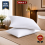 Imperial Rooms (Stripe Filled Pillows) Pack of 2 Pillows Standard Pillow Stripe Bounce Back 1