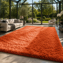 (200cm x 290cm (6ft 7" x 9ft 6"), Rust/Orange Shaggy Rugs) Fluffy Rug Non-Slip Shaggy Rugs Living Room Carpet
