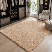 (120cm x 170cm (4ft x 5ft 6"), Beige Shaggy Rugs) Fluffy Rug Non-Slip Shaggy Rugs Living Room Carpet