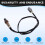1735400117 Automotive Oxygen Sensor for  Actyon Kyron Rexon 3
