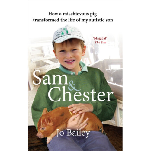 Sam and Chester by Jo BaileyMerritt Paperback Book