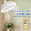 Ventilador de Teto Inteligente com Controle Remoto e Iluminação LED. Base Conversora E27. 4