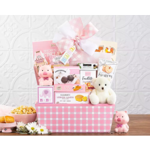 Wine Country Gift Baskets Welcome Home Baby Girl