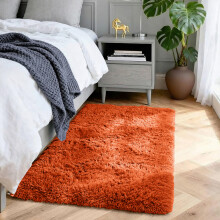 (60cm x 110cm (2ft x 3ft 7"), Rust/Orange Shaggy Rugs) Fluffy Rug Non-Slip Shaggy Rugs Living Room Carpet