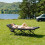 MoverX Camping Bed Single with Thick Mattress - Capacity 160kg 2