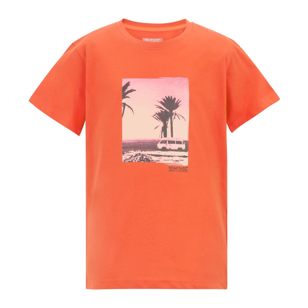 Regatta (5-6 Years, Rusty Orange) Childrens/Kids Bosley Palm Tree T-Shirt