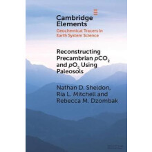 Reconstructing Precambrian pCO2 and pO2 Using Paleosols by Nathan D. S