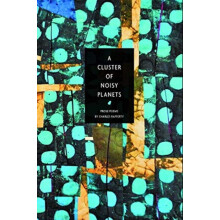 A Cluster of Noisy Planets by Charles Rafferty Paperback Book