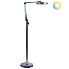 LED Floor Lamp CARINA with Dimmer Metal Dark Grey