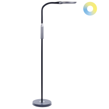 LED Floor Lamp CASSIOPEIA with Dimmer Metal Black