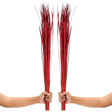 Artificial Dried Decorative Grass for Boho Vases 2 pcs Red 115 cm — artificial decorative grass, dried red grasses