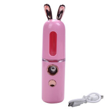 New USB Rechargeable Facial Hydrator Sprayer Women Beauty Instruments Home Use Humidifier Face Steamer