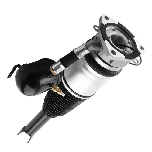 Rear Left Air Suspension Shock Strut For Audi A8 D3 4E2 4E8 VW Phaeton 3D1 3D2 2