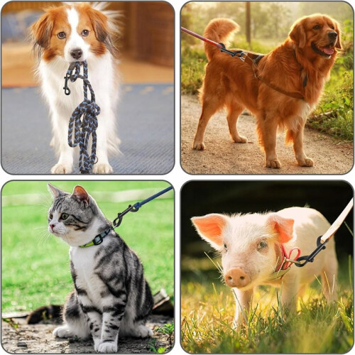 Ganchos de Pressão de 3,5 Polegadas com Extremidade Dupla, Capacidade de Carga de 110 Libras para Coleiras de Cães/Balde de Água/Ração de 2