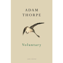 Voluntary by Adam Thorpe Paperback Book