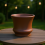 (A) Handcrafted Ceramic Mini Succulent Pot Desk Decor 14