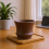 (A) Handcrafted Ceramic Mini Succulent Pot Desk Decor 15