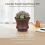 (A) Handcrafted Ceramic Mini Succulent Pot Desk Decor 16