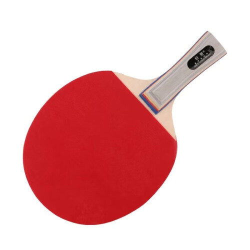 Table Tennis Racket Pack With Long And Short Handles Beginners Players Advanced 2