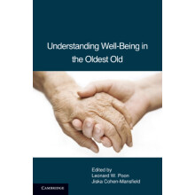 Understanding WellBeing in the Oldest Old Paperback Book