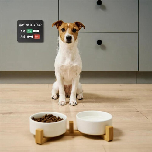 Panneau Magnétique en Acrylique pour Rappel de Repas pour Chat et Chien 1