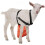 Adjustable Goat Apron for Anti-Breeding and Bucks Control with Bright Orange Visibility 3