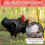 Chicken Saddles for Hens, Chicken Apron Back Protector for Hens with Adjustable Strap, Chicken Hen Mating Saddle 1