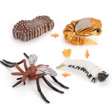 (Mosquitoes)Simulation Solid Turtle Chick Frog Animal Growth Cycle Montessori Teaching Aids