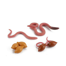 (Earthworms)Simulation Solid Turtle Chick Frog Animal Growth Cycle Montessori Teaching Aids