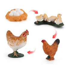 (Hens)Simulation Solid Turtle Chick Frog Animal Growth Cycle Montessori Teaching Aids
