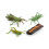 (Grasshopper)Simulation Solid Turtle Chick Frog Animal Growth Cycle Montessori Teaching Aids 1