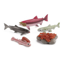 (Salmon)Simulation Solid Turtle Chick Frog Animal Growth Cycle Montessori Teaching Aids