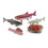 (Salmon)Simulation Solid Turtle Chick Frog Animal Growth Cycle Montessori Teaching Aids 1