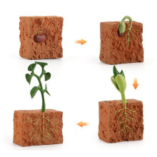 (Plants)Simulation Solid Turtle Chick Frog Animal Growth Cycle Montessori Teaching Aids