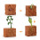 (Plants)Simulation Solid Turtle Chick Frog Animal Growth Cycle Montessori Teaching Aids 1
