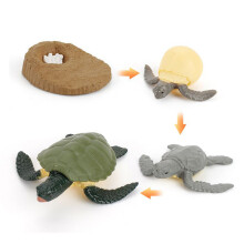 (Turtle)Simulation Solid Turtle Chick Frog Animal Growth Cycle Montessori Teaching Aids